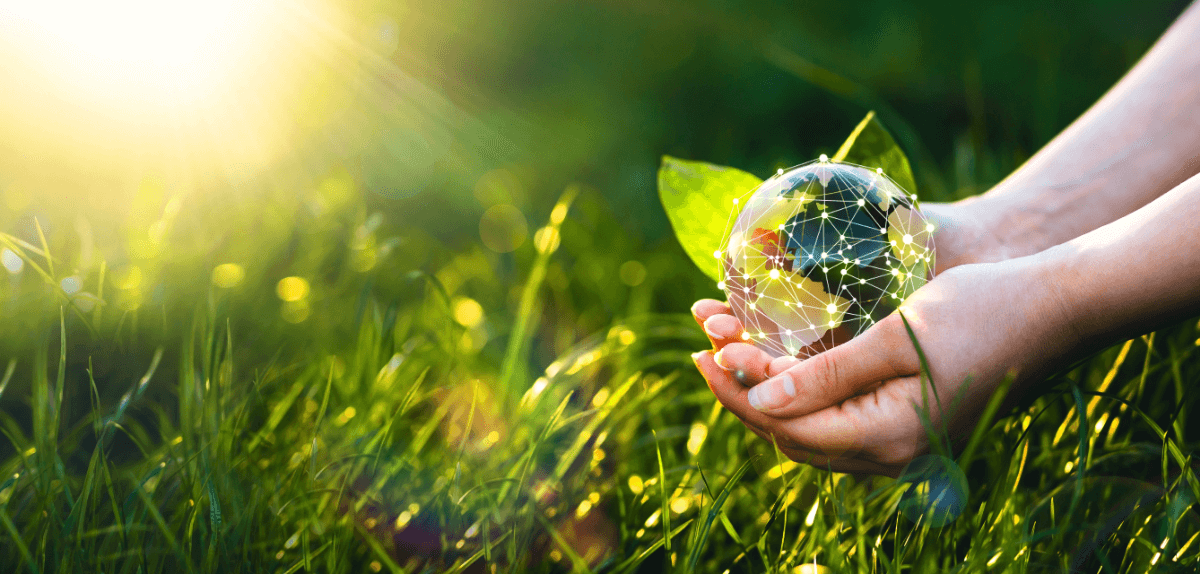 屋上で作業服とヘルメットを着用した技術者が太陽光パネルを点検している様子